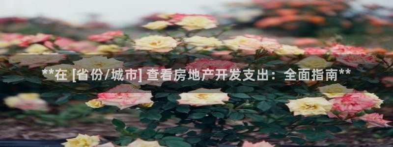 万向娱乐平台代理多少钱一个