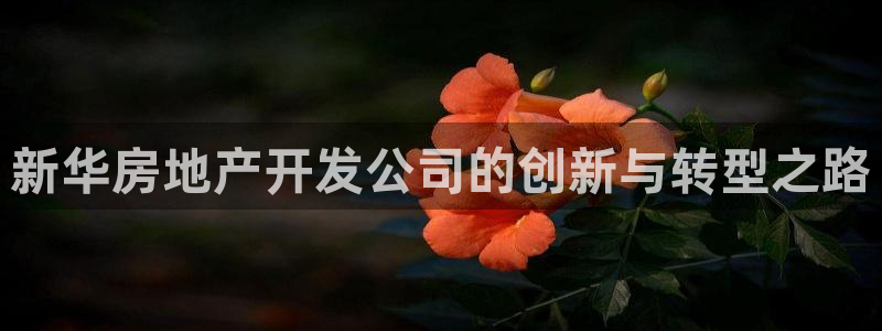 万向娱乐代理好看视频