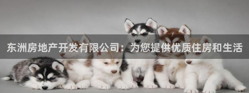 万向娱乐
