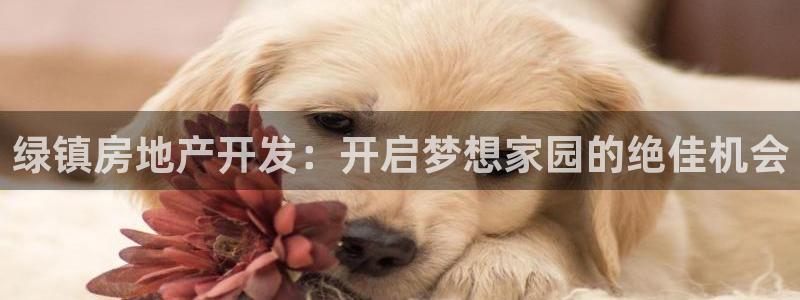 万向娱乐的联系方式是什么