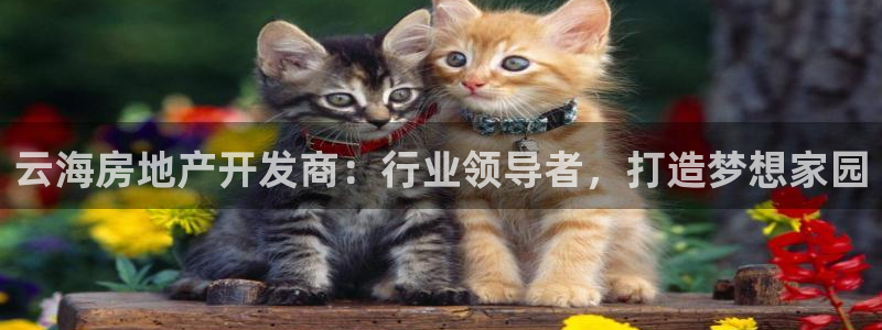 万向娱乐平台代理多少钱