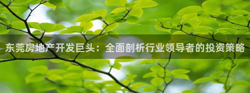 万向娱乐公司 585.34I 娱乐