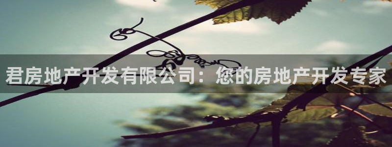 万向娱乐技术