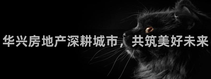 万向娱乐挂机软件