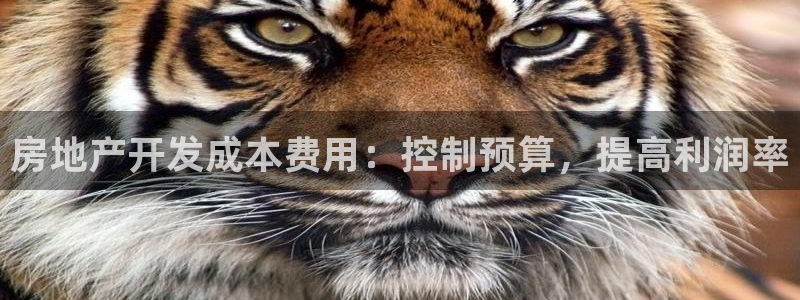 万向娱乐公司官网