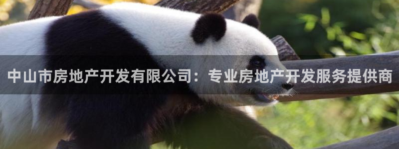万向娱乐老板