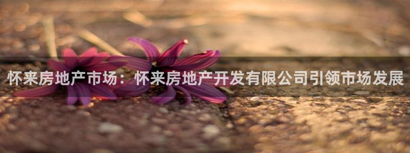 万向娱乐技术