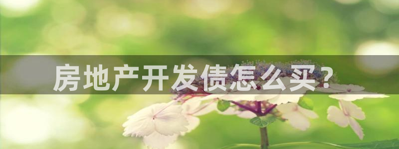 万向娱乐平台代理多少钱