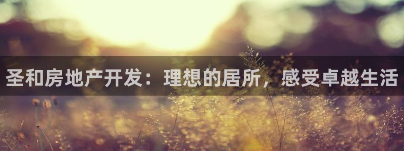 万能娱乐平台直招代理